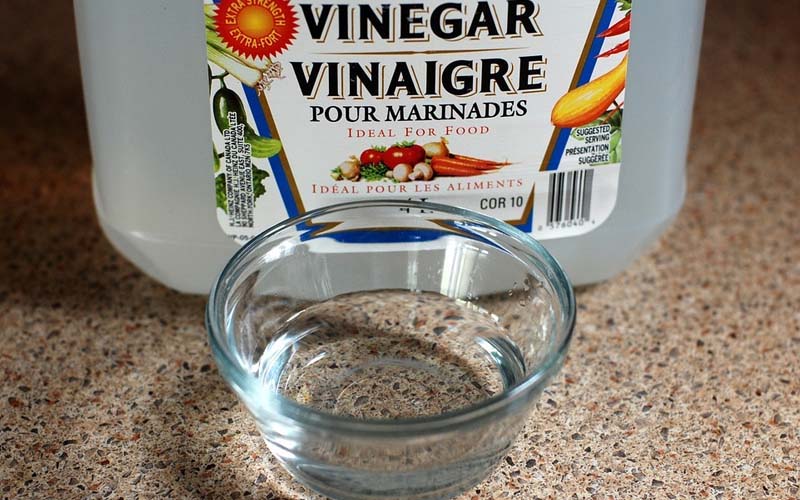 White Vinegar The Ultimate Friend for Your Garden and Plants