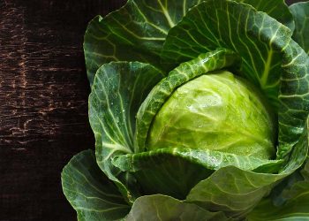 Here’s Why You Should Be Putting Cabbage Leaves on Your Chest