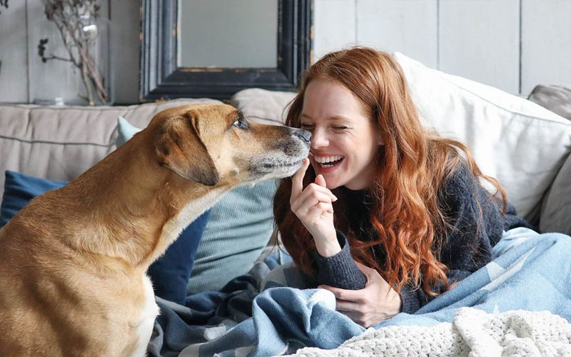 What Animal Lovers Should Know About Washing Their Hands