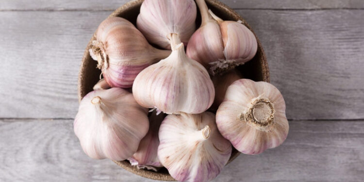 6 Benefits of Garlic That Make It Important for Your Diet
