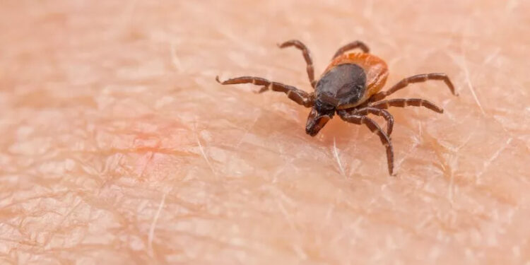If You’re a Northeast Resident, Read This Disease Warning Now!  
