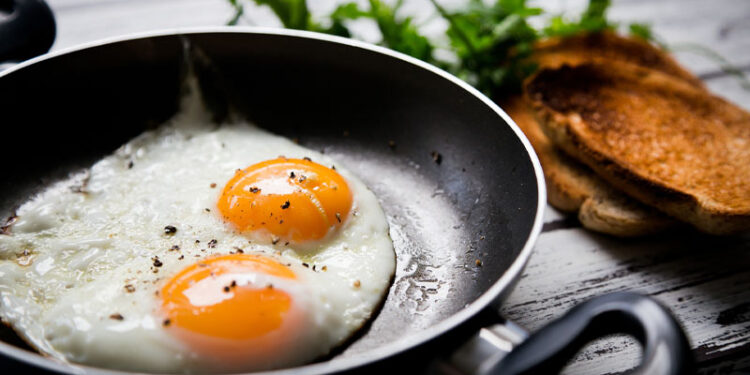 Is Eating Eggs Every Day a Healthy Habit? Read This!
