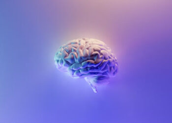 Top 4 Amazing Exercises for Better Brain Health