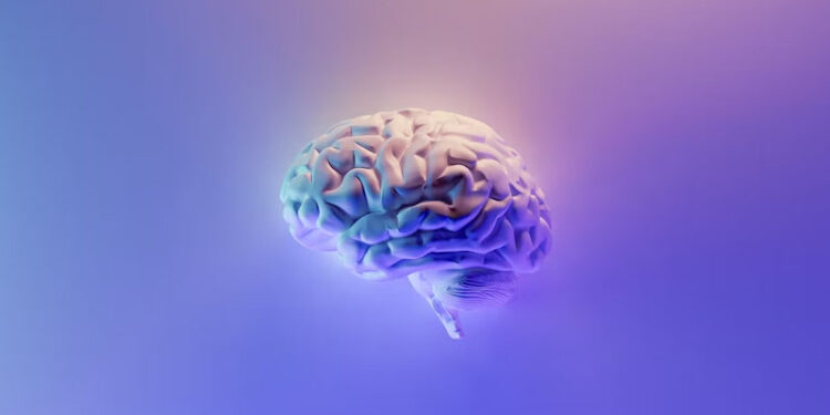 Top 4 Amazing Exercises for Better Brain Health