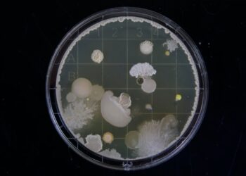 Quick Tips to Dodge These Flesh-Eating Bacteria
