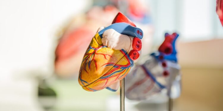 Top 10 Foods That May Reduce the Risk of Clogged Arteries
