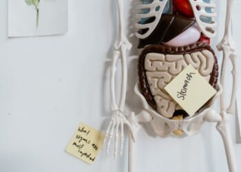 The Symptoms, Causes, and Treatment Options of Stomach Cancer