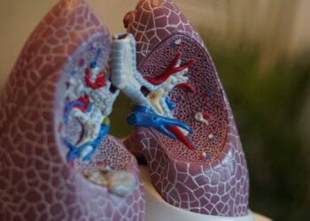 4 Natural Tips to Keep Lungs Healthy and Clean