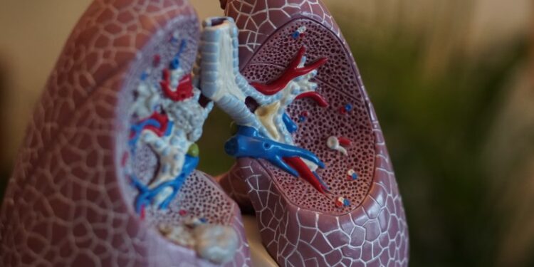 4 Natural Tips to Keep Lungs Healthy and Clean