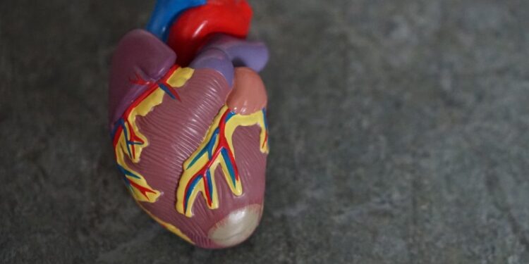 5 Heart Failure Signs You Should Be Aware of