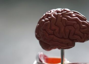 10 Food Options You Should Avoid to Maintain Your Brain Health