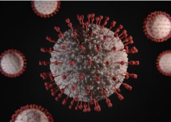 A New Life-Threatening Fungal Disease Is Currently in Full Swing, per the CDC