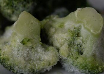 Food and Health: Frozen Food Meals You Must Throw Away Now