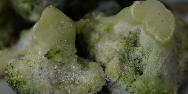 Food and Health: Frozen Food Meals You Must Throw Away Now