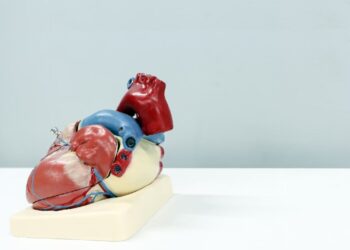 Major 7 Warning Signs of a Stroke Days Before You Must Be Aware of