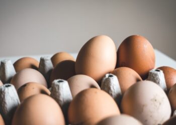 True or False_ Does Eating Eggs Daily Increase the Risk of Heart Attacks
