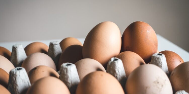 True or False_ Does Eating Eggs Daily Increase the Risk of Heart Attacks