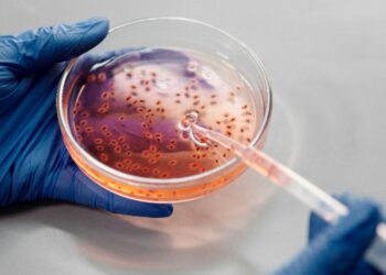 6 Easiest Methods to Contract the Norovirus and How to Prevent It