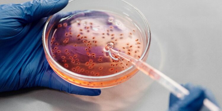 6 Easiest Methods to Contract the Norovirus and How to Prevent It