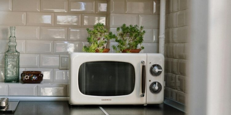 Never Put These 6 Hazardous Foods in the Microwave, Specialists Warn