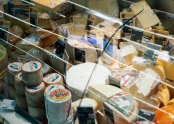 Cheddar Cheese Was Withdrawn by the FDA Due to Possible Infections