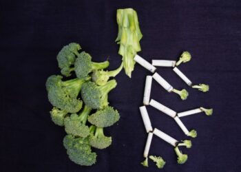 Everything You Did Not Know About Lung Cancer