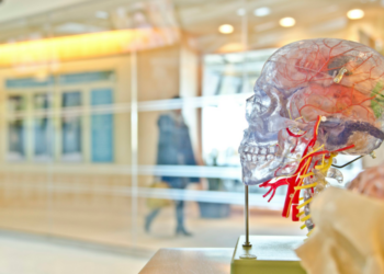 7 Methods to Prevent a Stroke Naturally