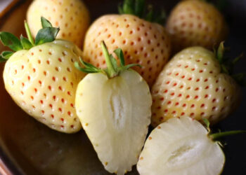 6 Unexpected Foods That Quietly Raise Your Heart Disease Risk