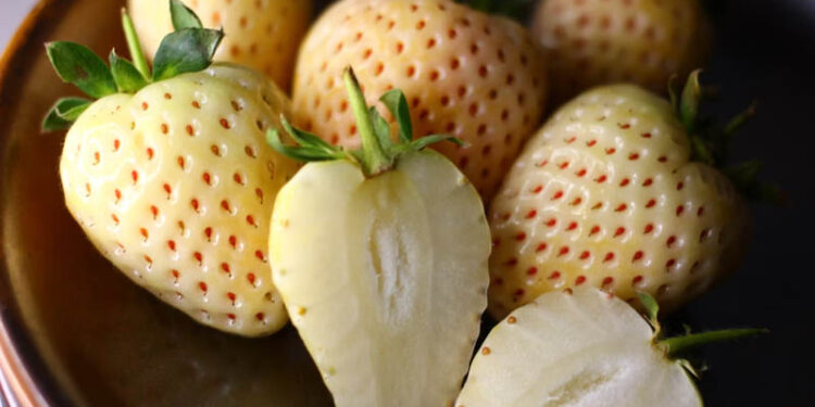 6 Unexpected Foods That Quietly Raise Your Heart Disease Risk